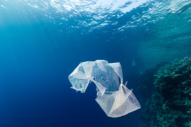 Fighting for Our Seas