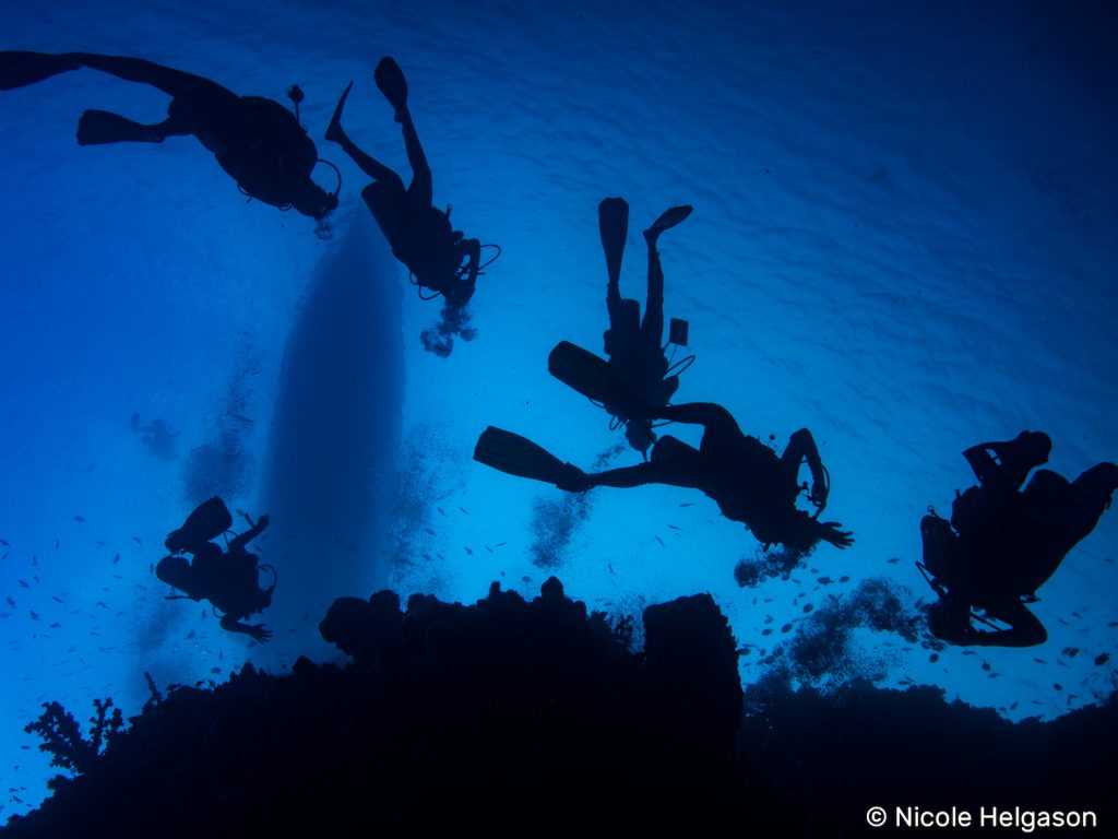 Coral reefs and the underwater world provide priceless inspiration and wonder for the world. Photo: Nicole Helgason