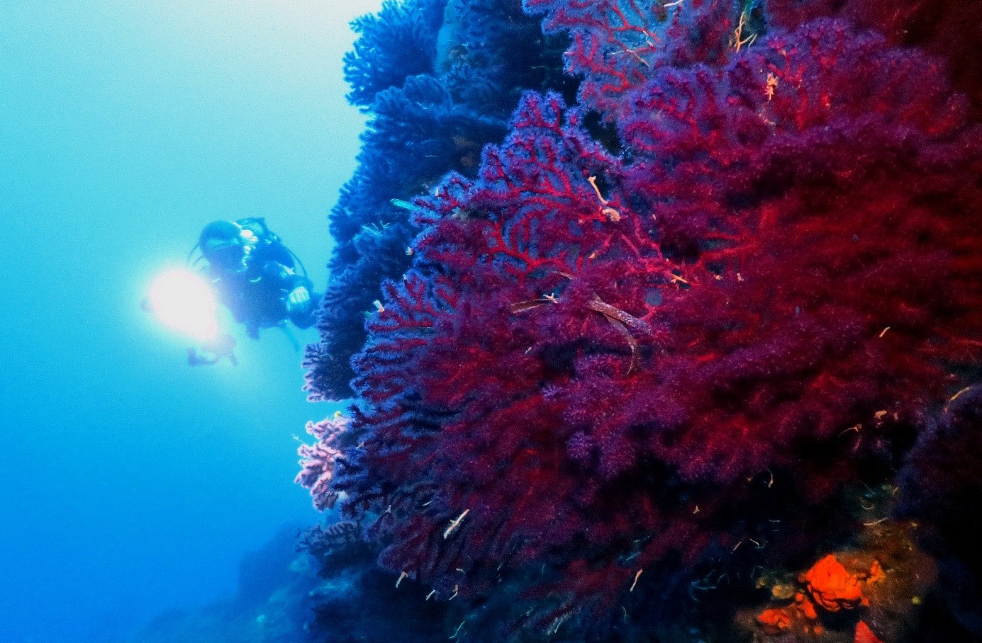 Scuba diving Alonissos Greece 2