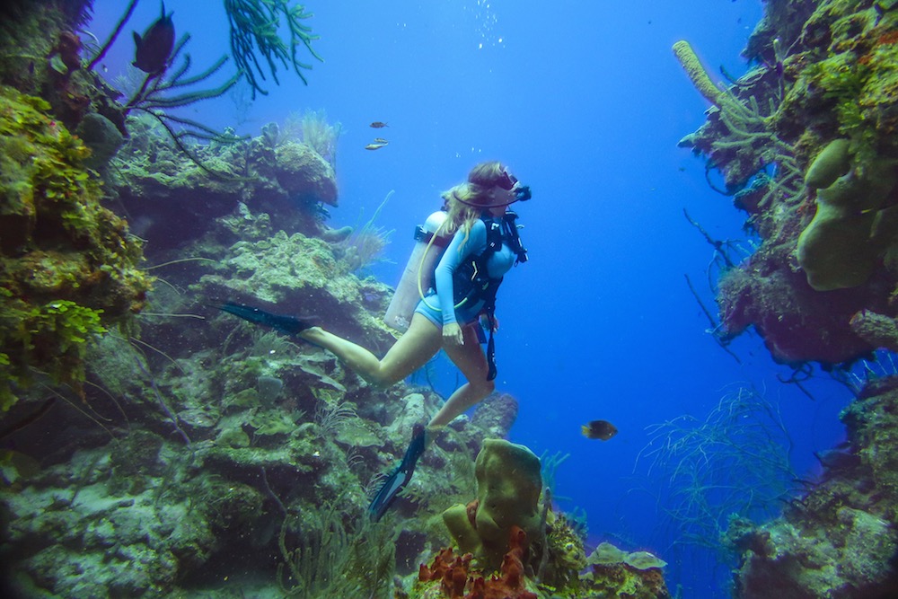 The blonde abroad kiersten rich scuba diving in belize