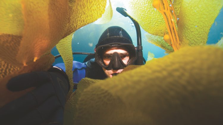 padi master scuba diver