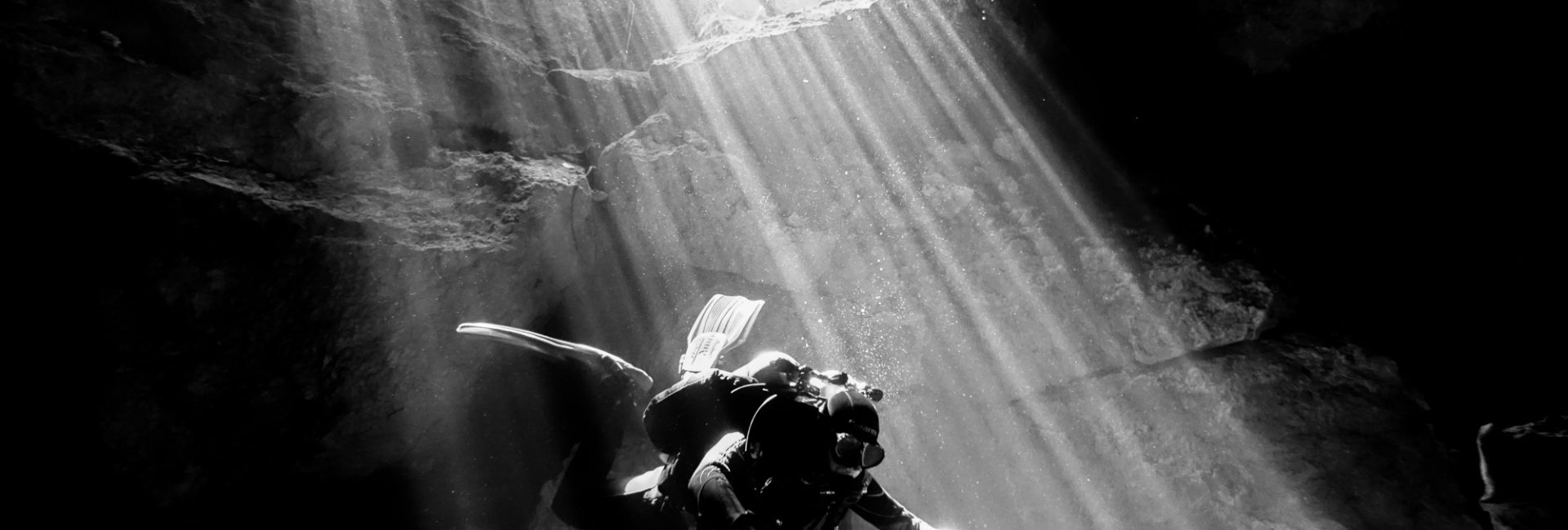 What is the Difference Between DSLR and Compact Cameras for Underwater Photography?