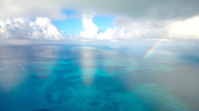 diving the florida keys after hurricanes photo jack fishman