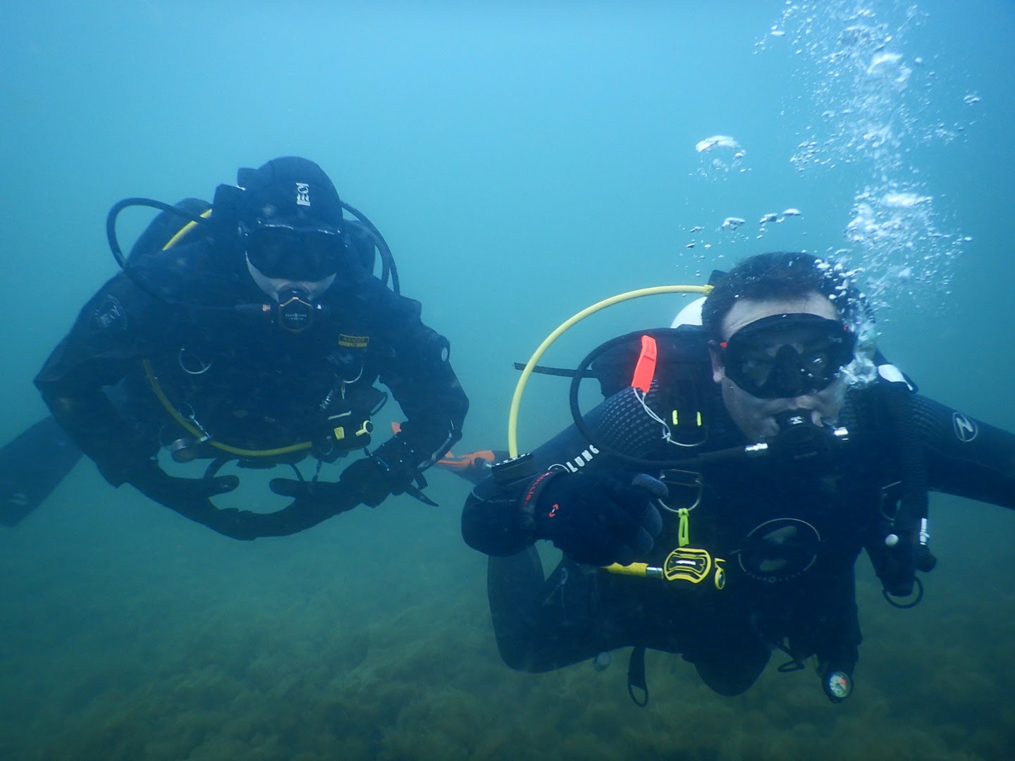 PADI Instructor JD Hendricks