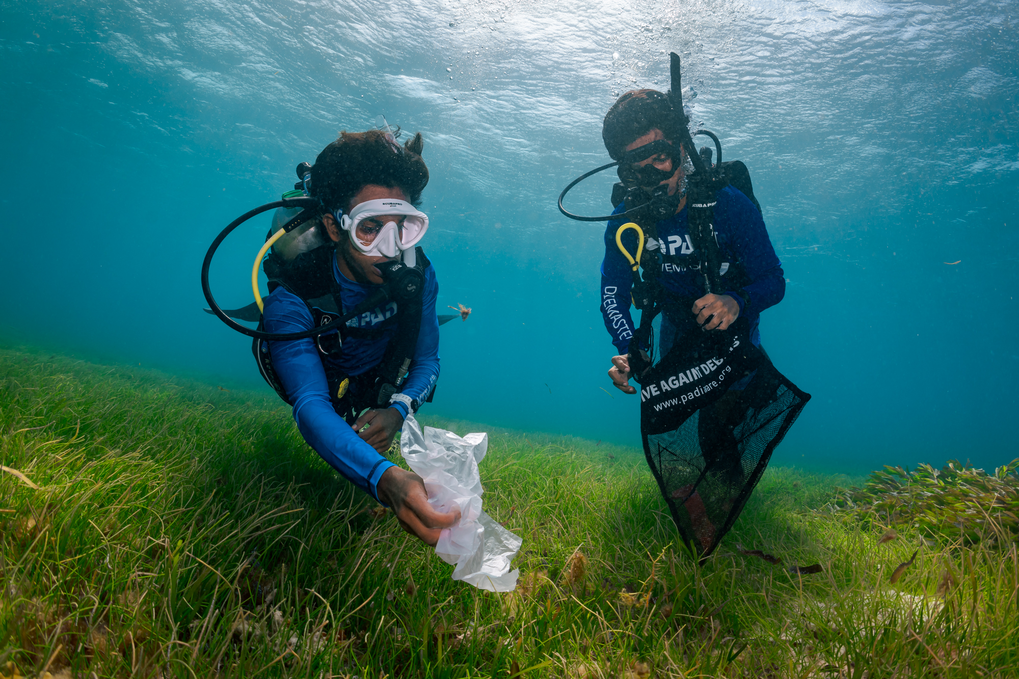 two divers pick up garbage from seagrass underwater