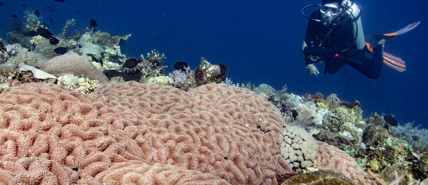 Threats to Coral Reefs