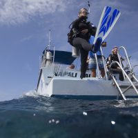 scuba diving in hawaii with padi
