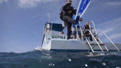 scuba diving in hawaii with padi