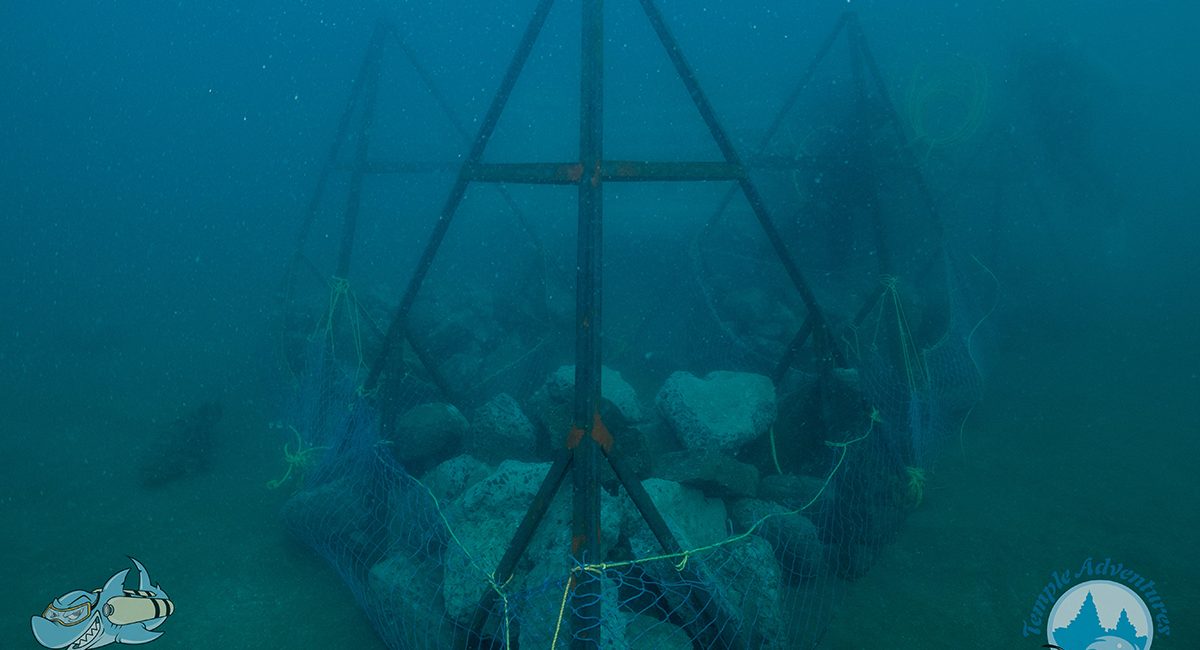 A New Dive Site for India; The Parking lot