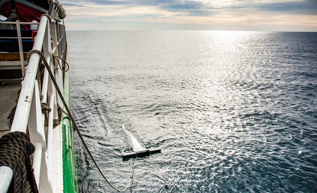Documenting Microplastics from the Netherlands to New York
