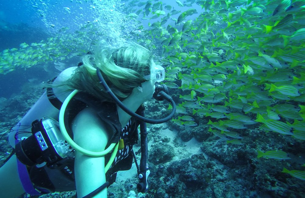 The Blonde Abroad Talks Scuba Diving and Dream Destinations