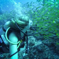 The blonde abroad kiersten rich scuba diving maldives