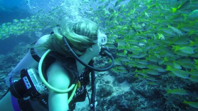 The blonde abroad kiersten rich scuba diving maldives