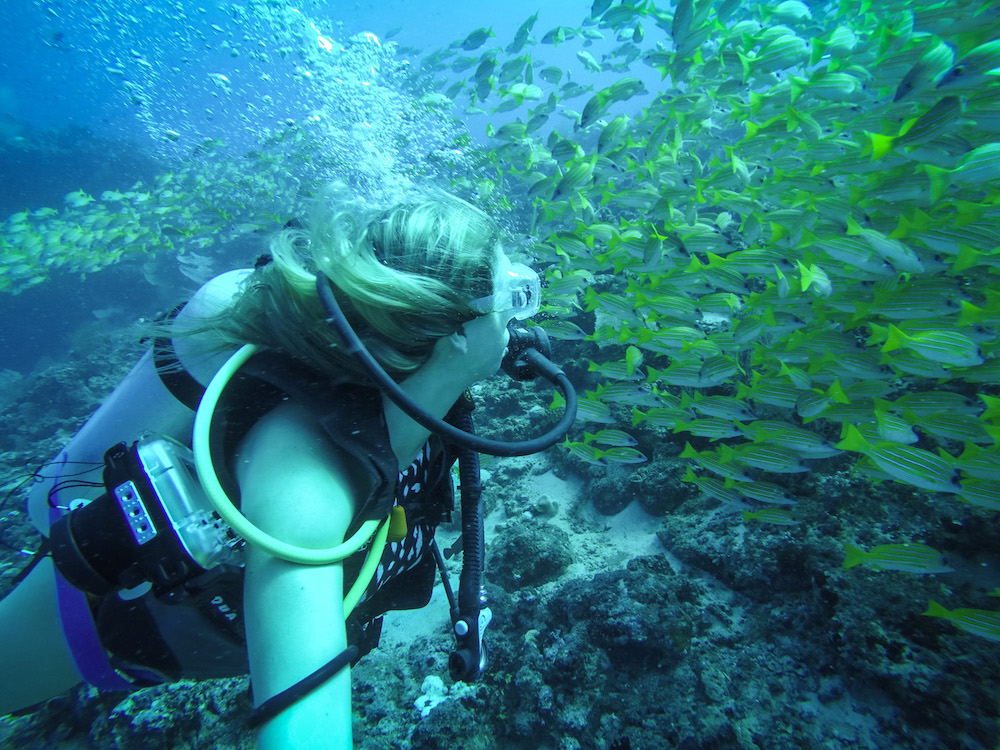 The blonde abroad kiersten rich scuba diving maldives