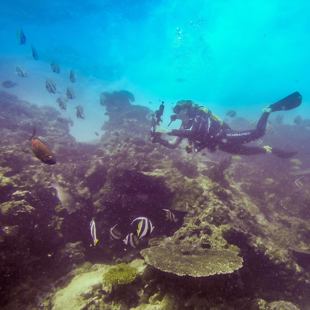 The blonde abroad kiersten rich scuba divingmozambique