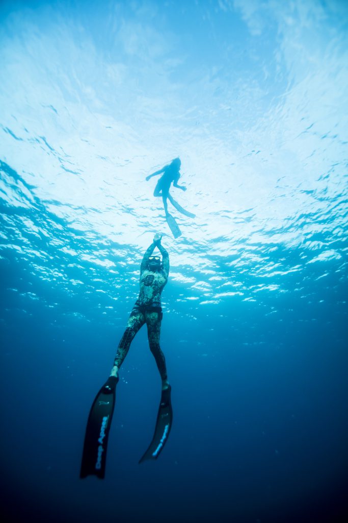 padi freediver course