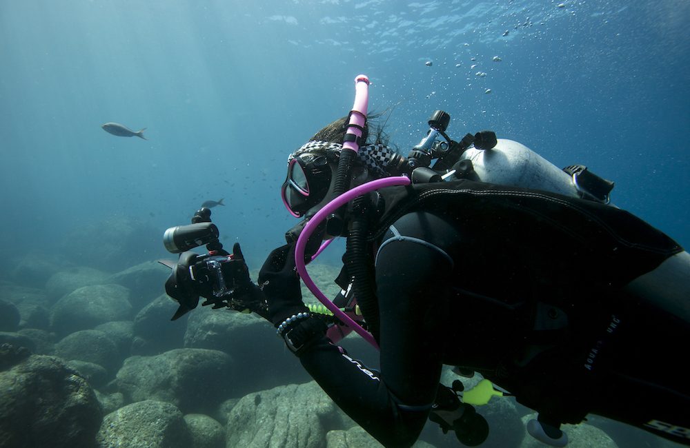 Women Divers Hall of Fame X PADI Scholarships Now Available!