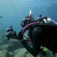padi women