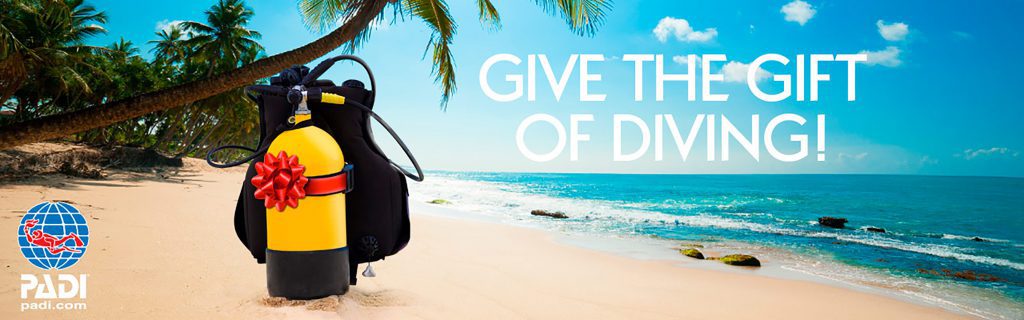 give the gift of diving