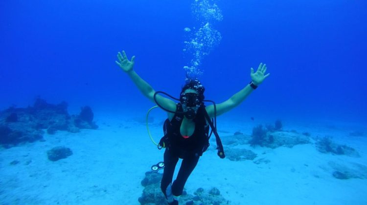 padi diver alana nichols