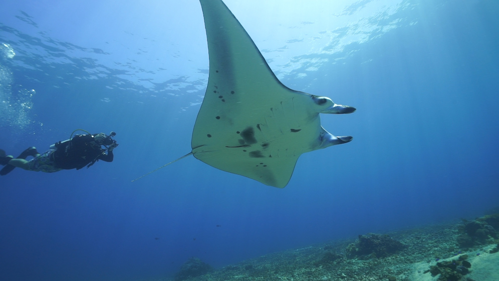 padi ambassadiver justin carmack