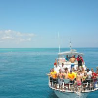 diving in florida Photo: Jack Fishman | Rainbow Reef