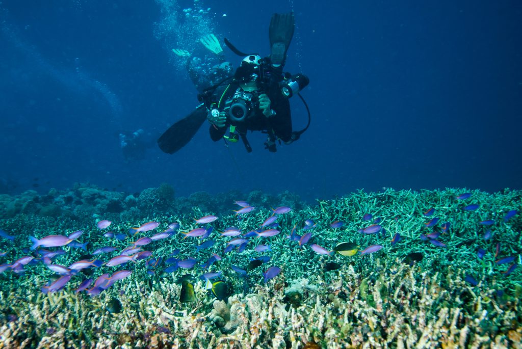 underwater photography