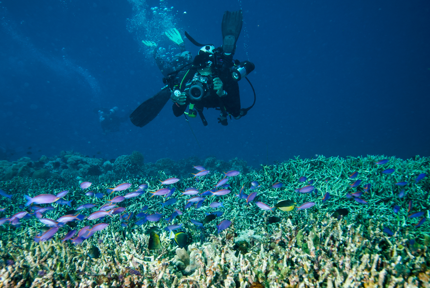 underwater photography