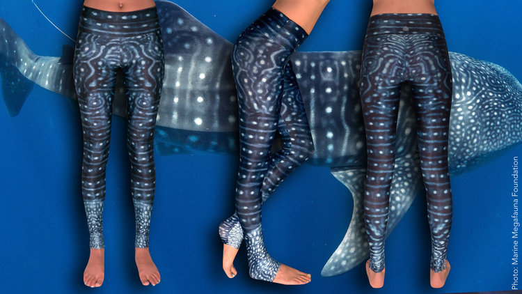 whale shark leggings