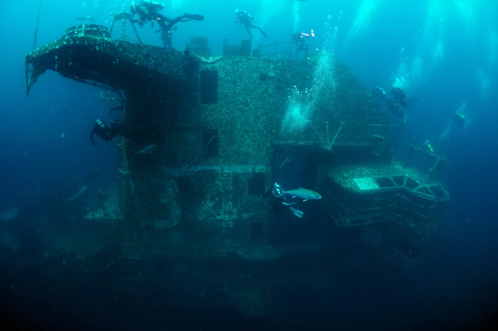 Scuba divers exploring the USS Oriskany wreck in Florida