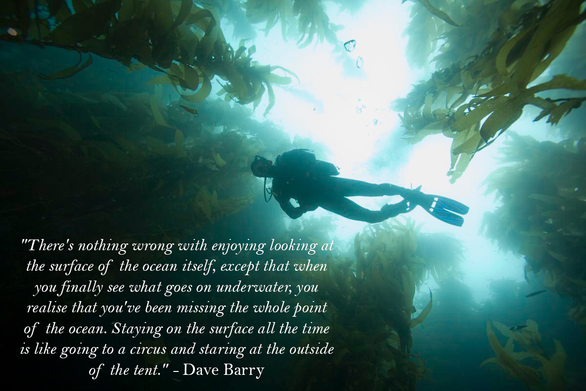 Ocean Quote