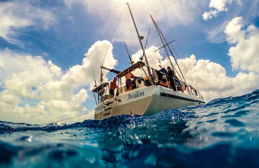 Giving Thanks to Our Scuba Diving Founders