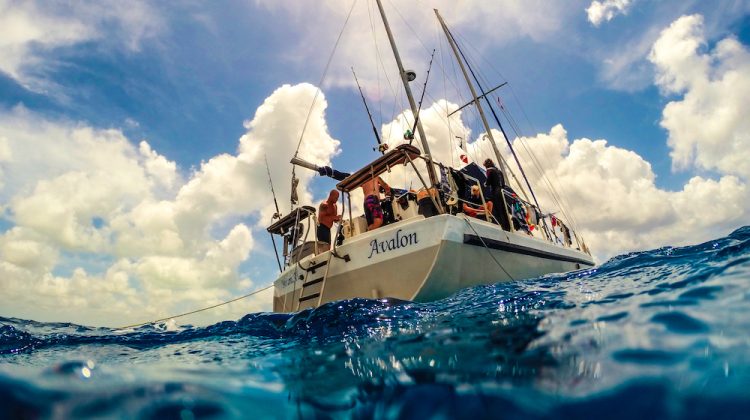 scuba diving founders