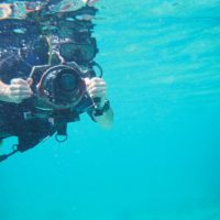 Reefs - Film making with Daniel Oron