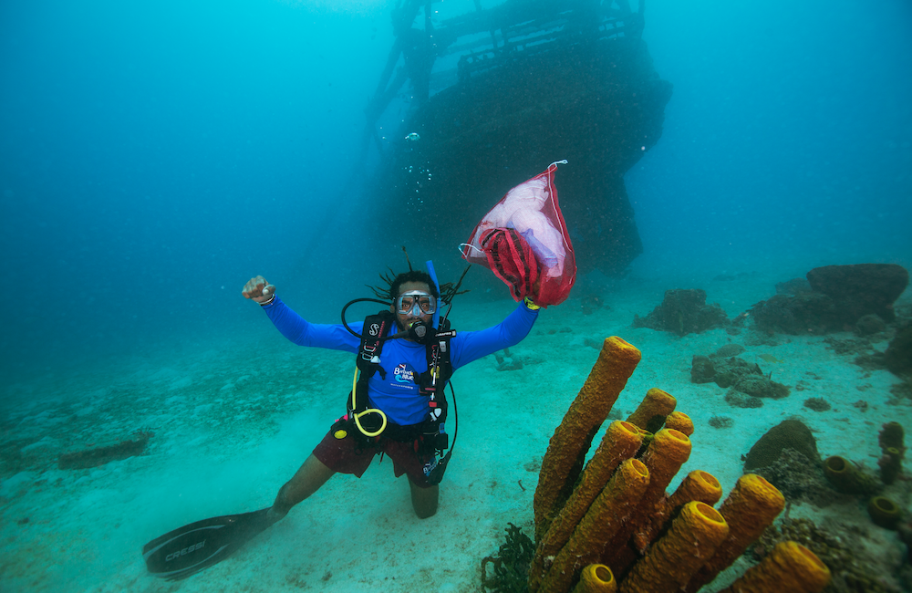 Giving Back to the Ocean and Marine Life We All Love