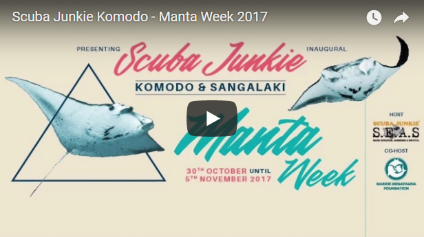 Celebrating Manta Week with Scuba Junkie