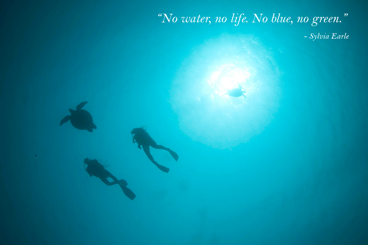 Ocean Quote