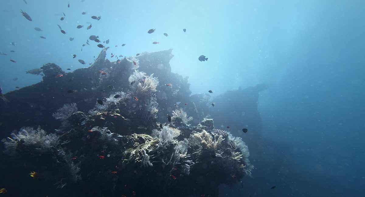Seven of the Best Dive Sites Around Bali