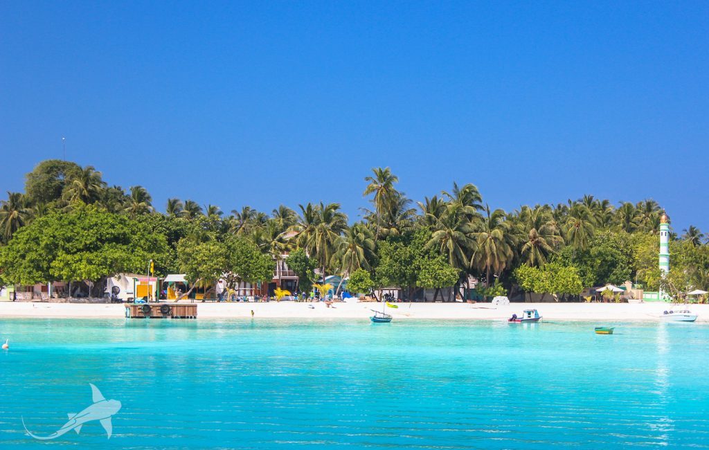 7 reasons Fulidhoo Island in the Maldives is a Dream Diving Destination
