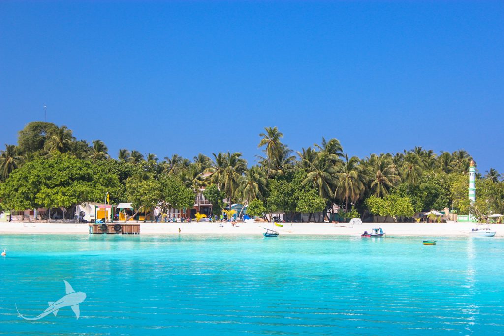 Beach Vview Fulidhoo Island