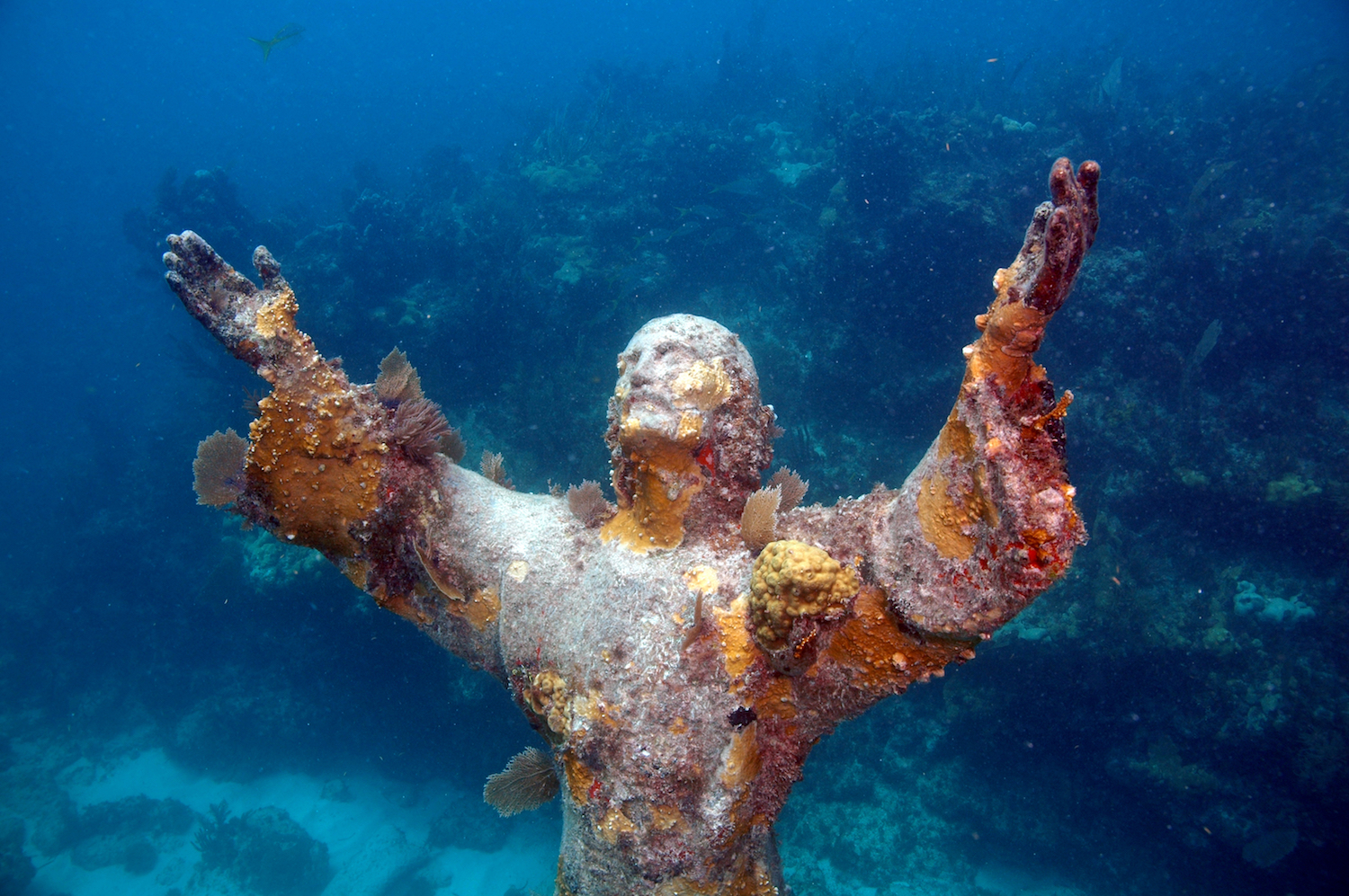 christ of the abyss florida