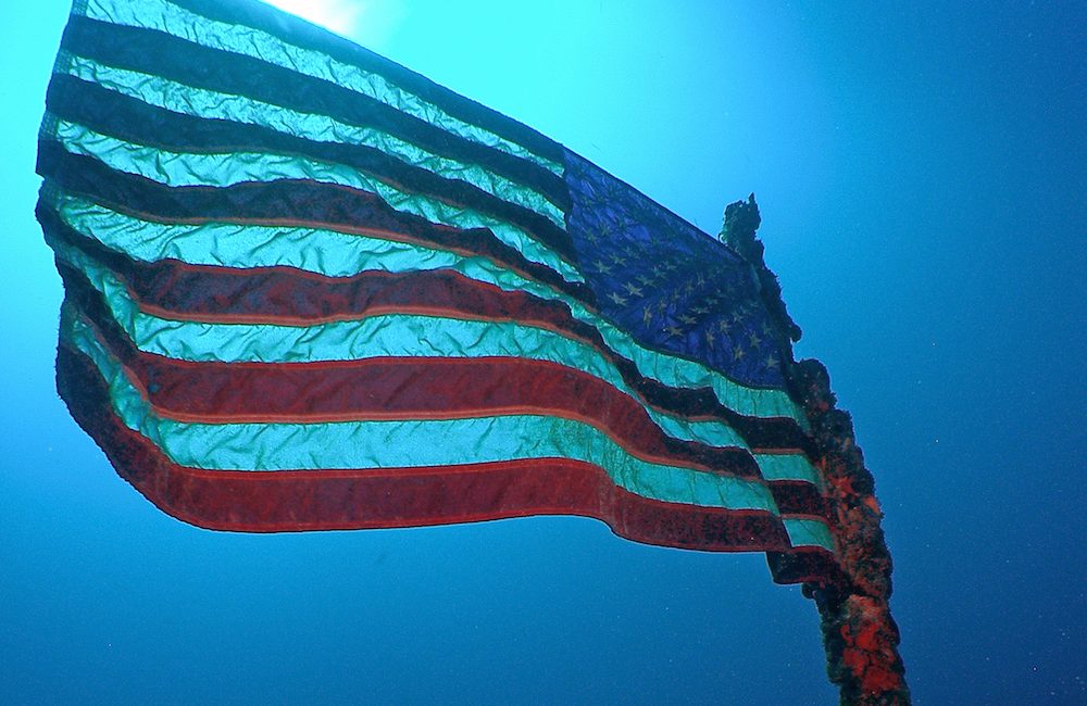 Learning to Dive as a Veteran