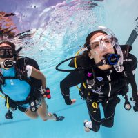 alana nichols adaptive support diver course