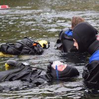 guide to divemaster training by candice landau