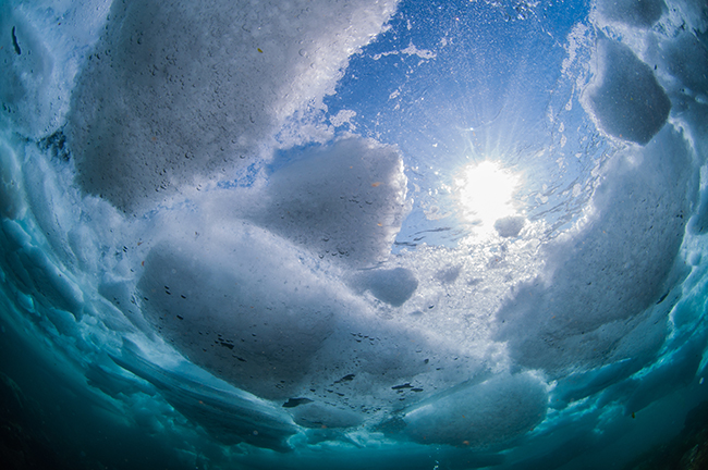 Cold Water Diving Ice Drift Diving, Japan