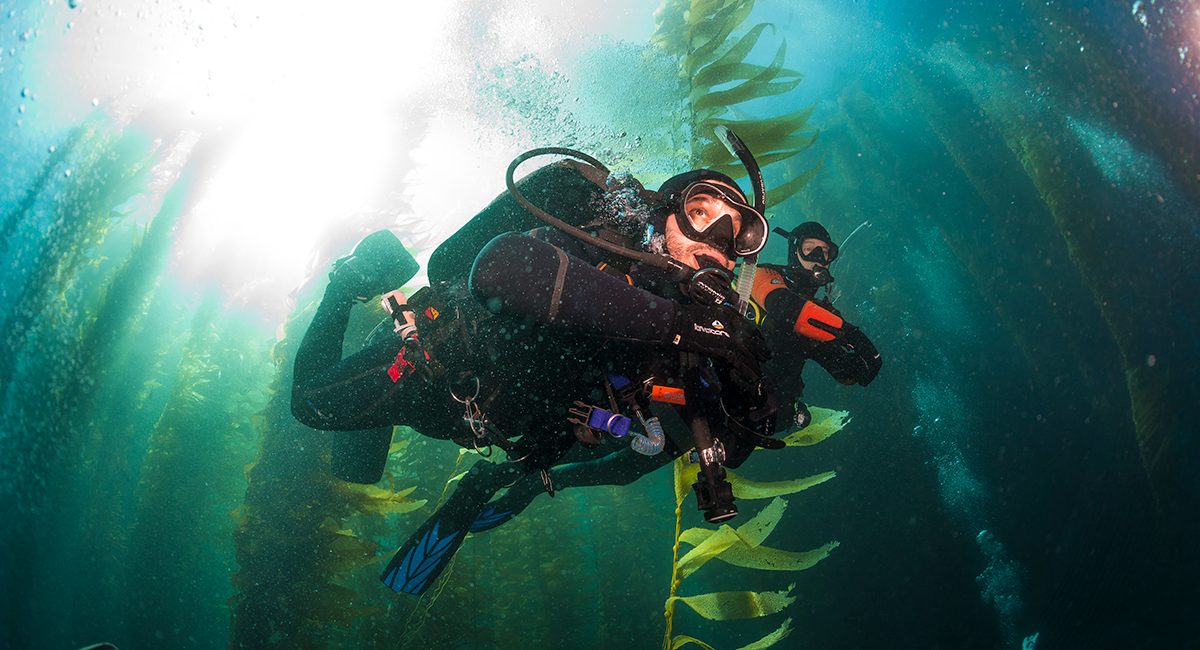 Cold Water Diving for Warm Water Divers