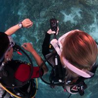 POV from above as two divers check their air - one on a wrist-mounted dive computer and another on an air gauge
