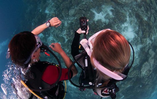 Gauge - Diving makes you smart