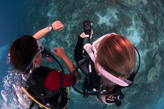 Gauge - Diving makes you smart