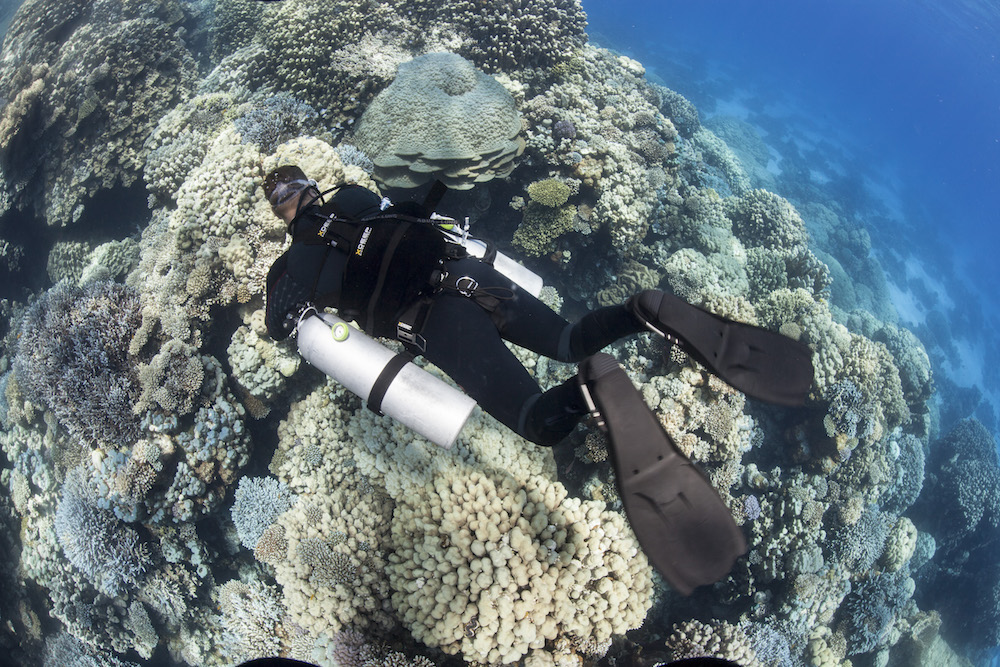 Learn more about the PADI Sidemount Diver course. 